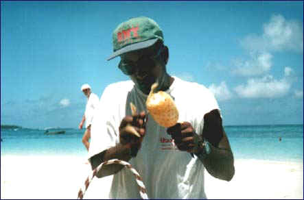 Coupeur ananas